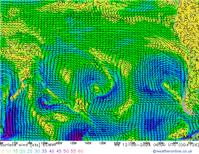 Surface wind ECMWF We 12.06.2024 06 UTC