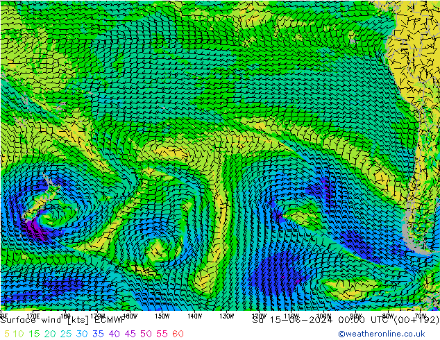 Surface wind ECMWF So 15.06.2024 00 UTC