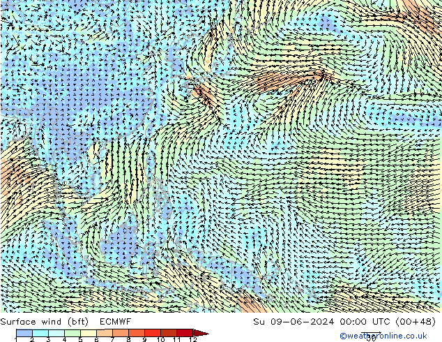 Viento 10 m (bft) ECMWF dom 09.06.2024 00 UTC