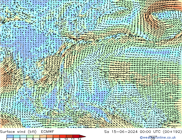  10 m (bft) ECMWF  15.06.2024 00 UTC