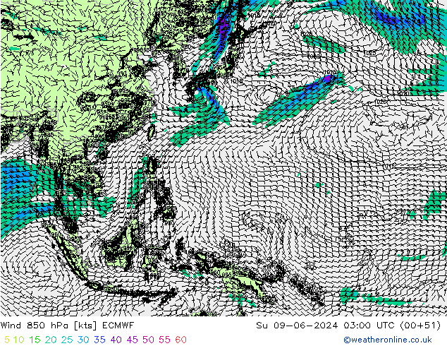 Wind 850 hPa ECMWF Su 09.06.2024 03 UTC