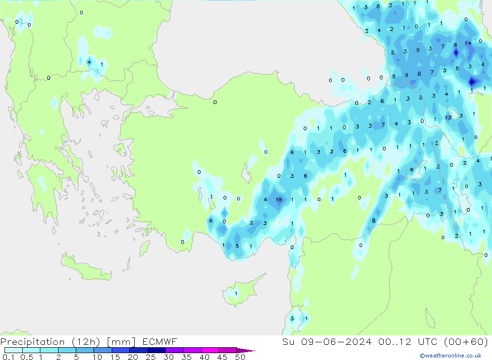 Precipitation (12h) ECMWF Su 09.06.2024 12 UTC