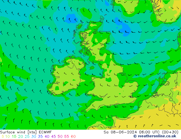 Viento 10 m ECMWF sáb 08.06.2024 06 UTC