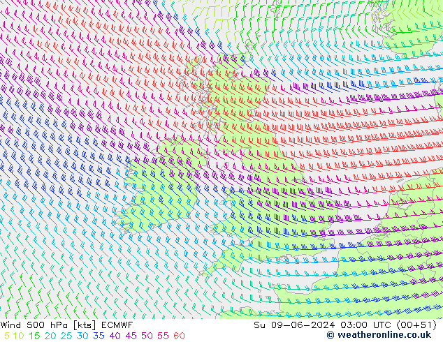 Vent 500 hPa ECMWF dim 09.06.2024 03 UTC