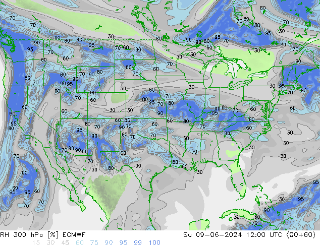 RH 300 hPa ECMWF Su 09.06.2024 12 UTC