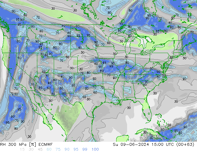 RH 300 hPa ECMWF Dom 09.06.2024 15 UTC