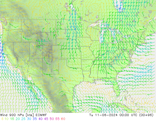 Vento 900 hPa ECMWF mar 11.06.2024 00 UTC