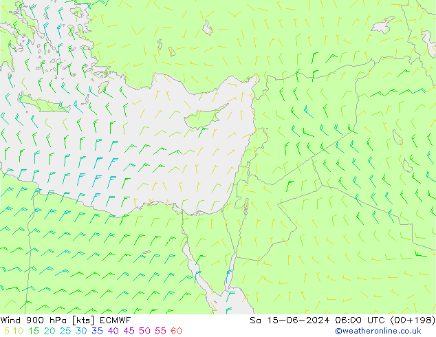 Rüzgar 900 hPa ECMWF Cts 15.06.2024 06 UTC