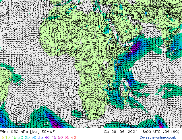 Wind 950 hPa ECMWF zo 09.06.2024 18 UTC