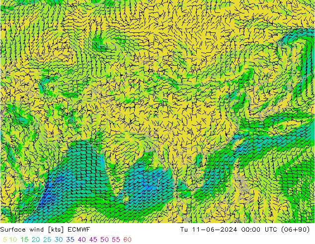 ветер 10 m ECMWF вт 11.06.2024 00 UTC