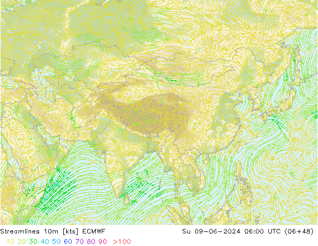 Línea de corriente 10m ECMWF dom 09.06.2024 06 UTC