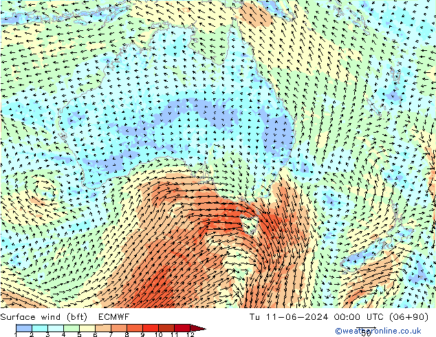 Surface wind (bft) ECMWF Tu 11.06.2024 00 UTC