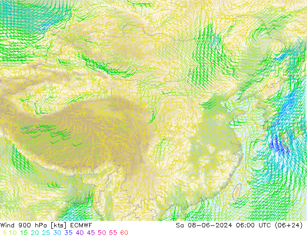 Wind 900 hPa ECMWF Sa 08.06.2024 06 UTC