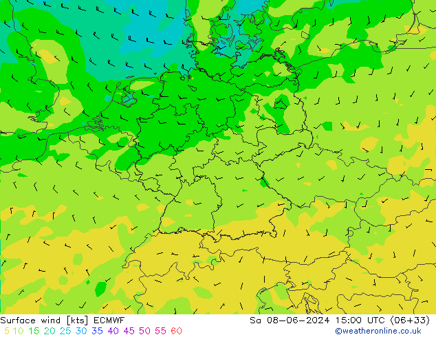 wiatr 10 m ECMWF so. 08.06.2024 15 UTC