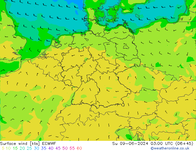 Rüzgar 10 m ECMWF Paz 09.06.2024 03 UTC