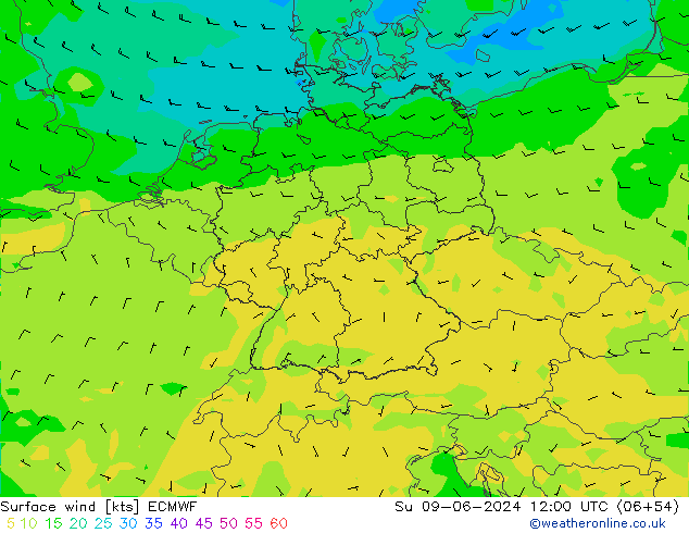 wiatr 10 m ECMWF nie. 09.06.2024 12 UTC