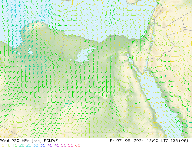 Wind 950 hPa ECMWF Fr 07.06.2024 12 UTC