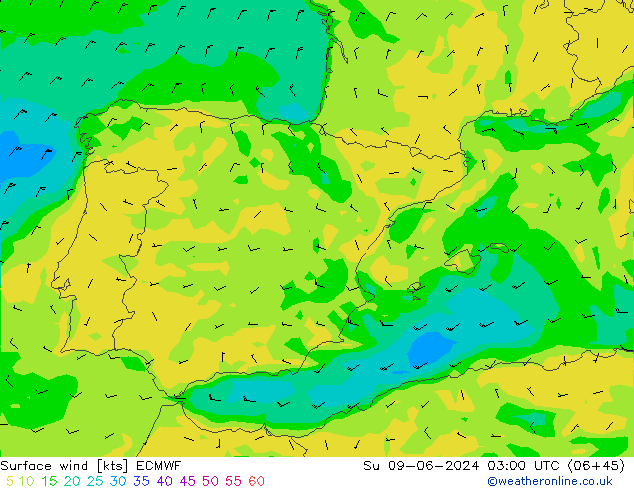 Rüzgar 10 m ECMWF Paz 09.06.2024 03 UTC