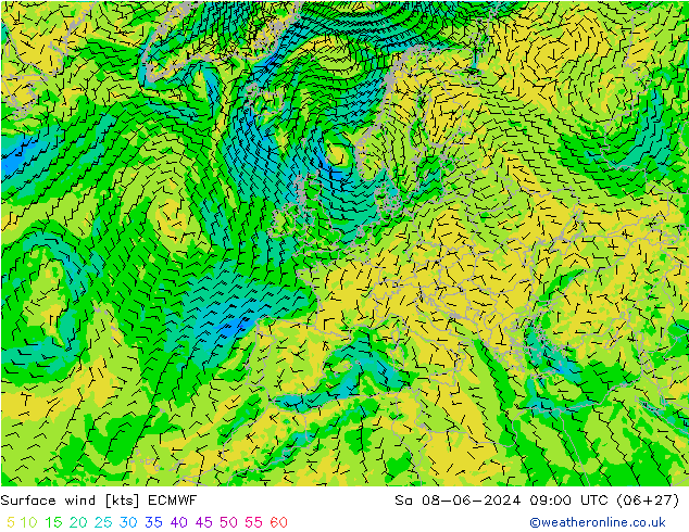 Vent 10 m ECMWF sam 08.06.2024 09 UTC