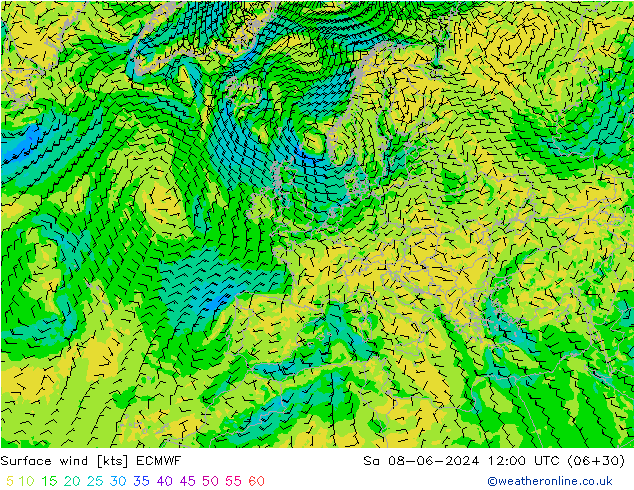 Surface wind ECMWF Sa 08.06.2024 12 UTC