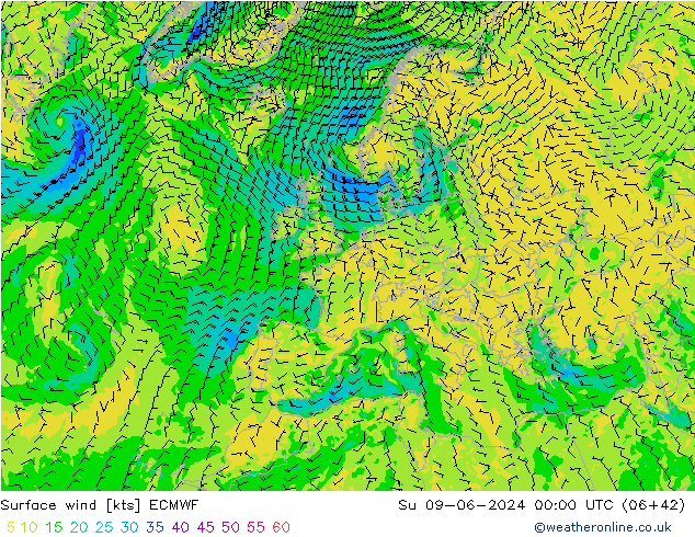 Vent 10 m ECMWF dim 09.06.2024 00 UTC