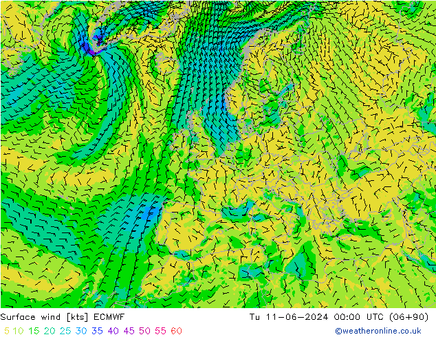 Rüzgar 10 m ECMWF Sa 11.06.2024 00 UTC