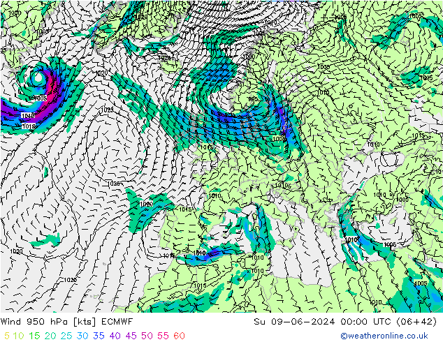 Wind 950 hPa ECMWF Su 09.06.2024 00 UTC