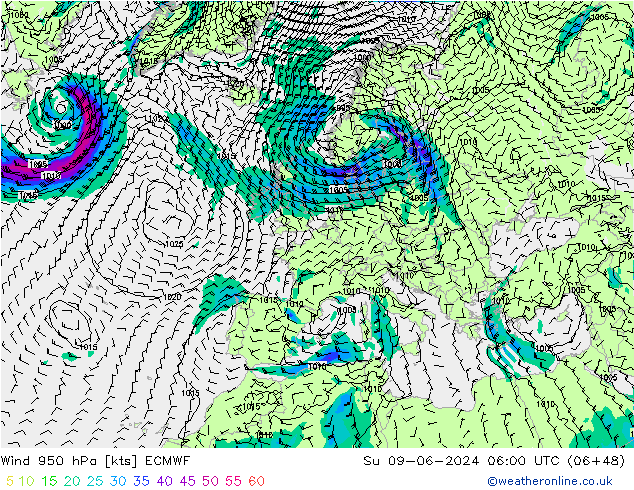 Wind 950 hPa ECMWF So 09.06.2024 06 UTC