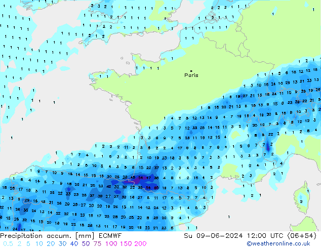 Precipitation accum. ECMWF Вс 09.06.2024 12 UTC