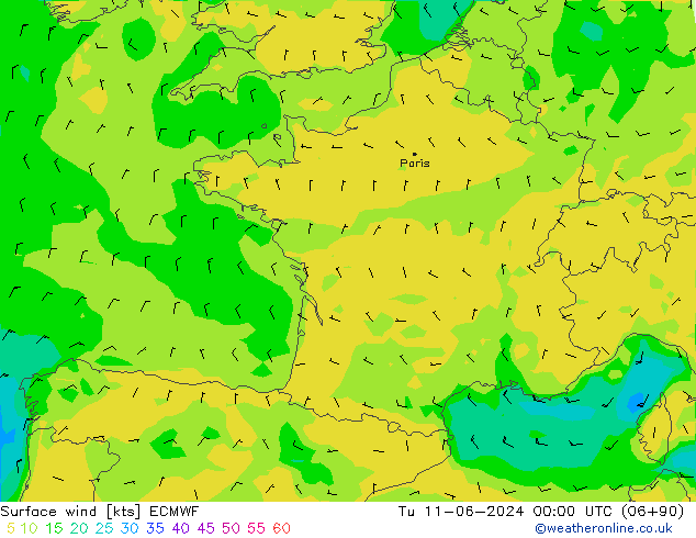 Bodenwind ECMWF Di 11.06.2024 00 UTC