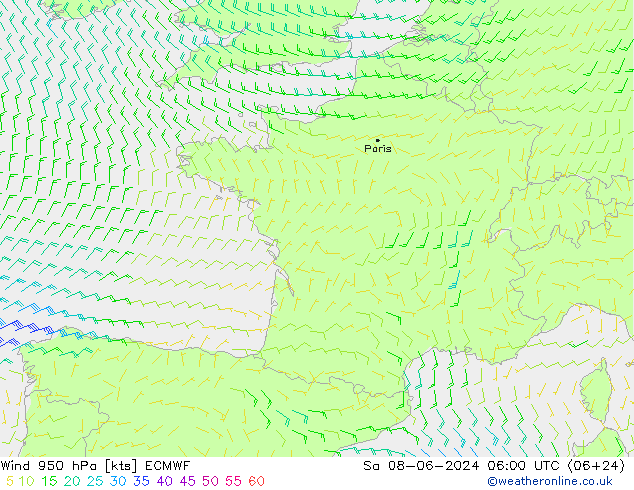 Wind 950 hPa ECMWF Sa 08.06.2024 06 UTC