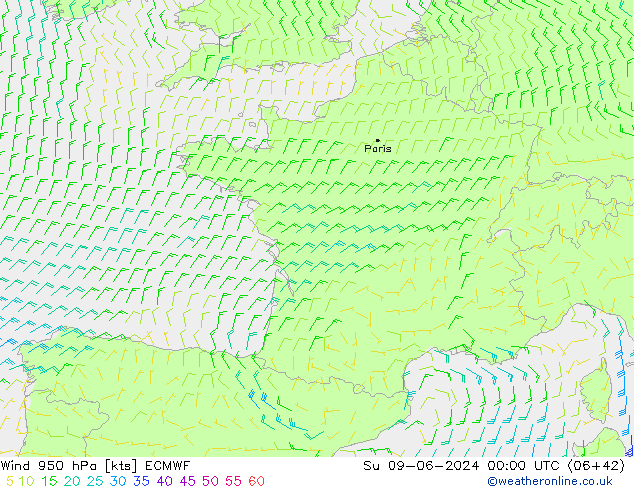 Rüzgar 950 hPa ECMWF Paz 09.06.2024 00 UTC