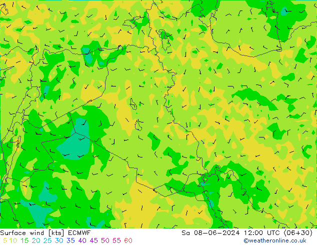  So 08.06.2024 12 UTC