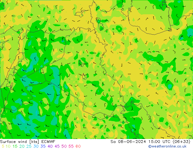  So 08.06.2024 15 UTC