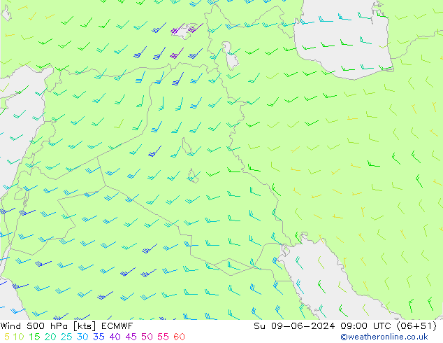 Vent 500 hPa ECMWF dim 09.06.2024 09 UTC