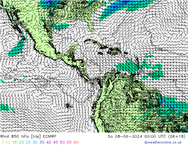 Wind 850 hPa ECMWF Sa 08.06.2024 00 UTC