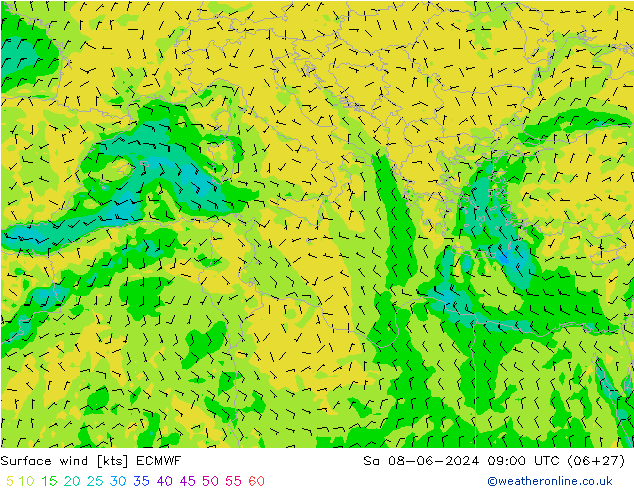 Surface wind ECMWF So 08.06.2024 09 UTC