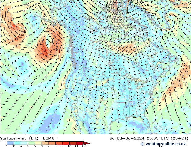 Bodenwind (bft) ECMWF Sa 08.06.2024 03 UTC