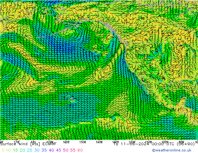 Surface wind ECMWF Tu 11.06.2024 00 UTC