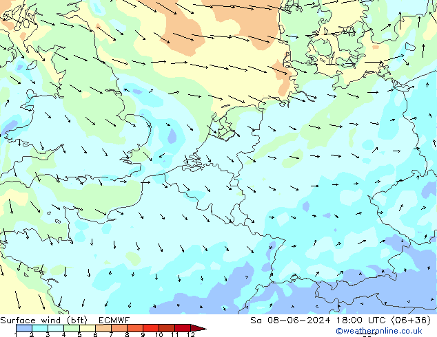 Surface wind (bft) ECMWF Sa 08.06.2024 18 UTC