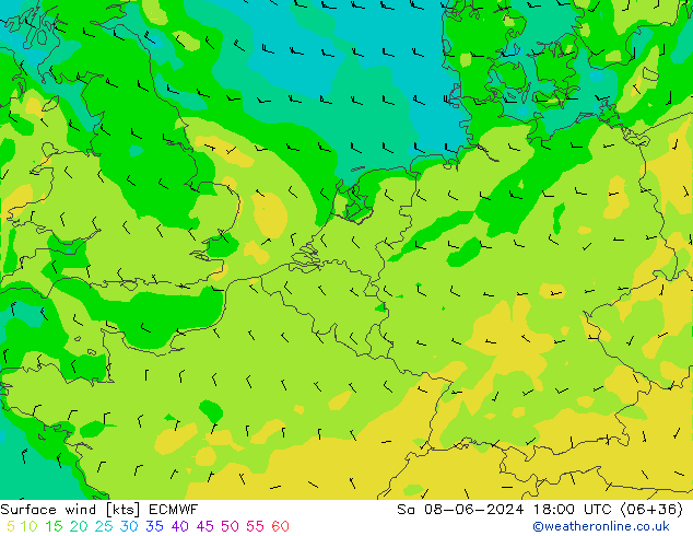  10 m ECMWF  08.06.2024 18 UTC