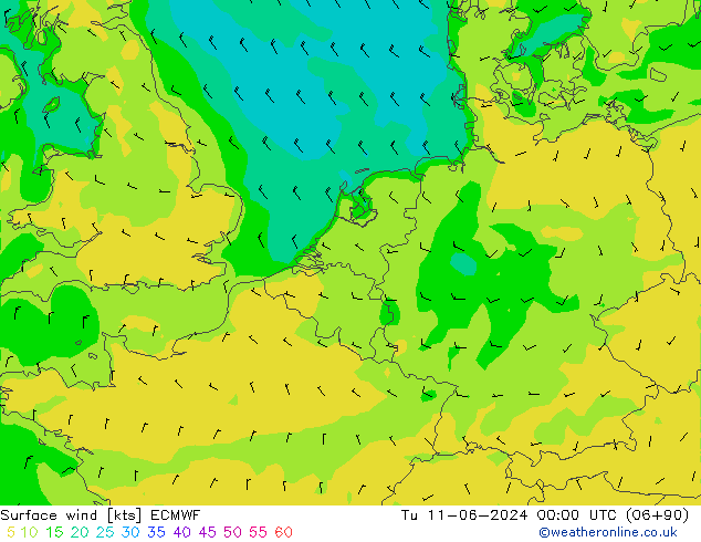 Rüzgar 10 m ECMWF Sa 11.06.2024 00 UTC