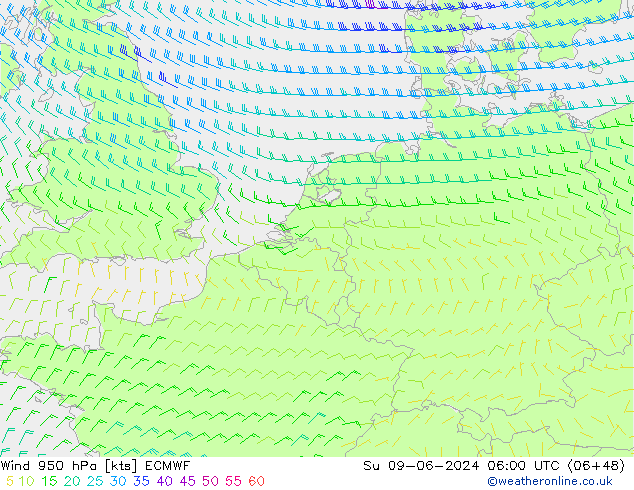 Wind 950 hPa ECMWF zo 09.06.2024 06 UTC