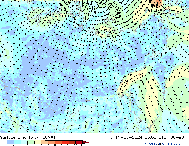 Surface wind (bft) ECMWF Tu 11.06.2024 00 UTC