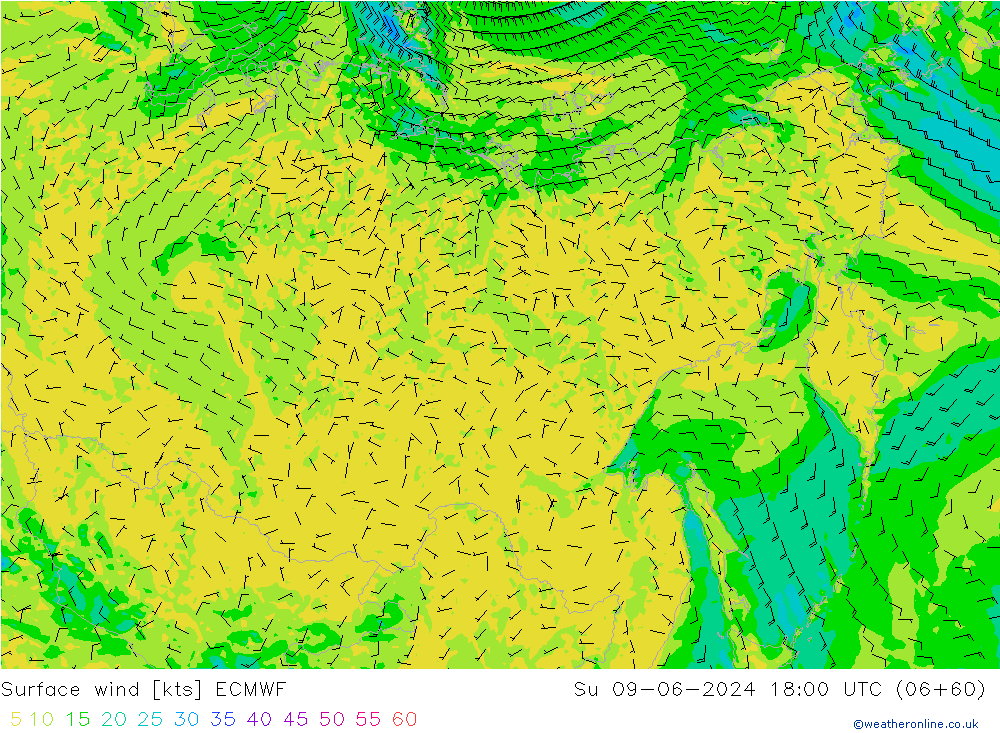 Rüzgar 10 m ECMWF Paz 09.06.2024 18 UTC