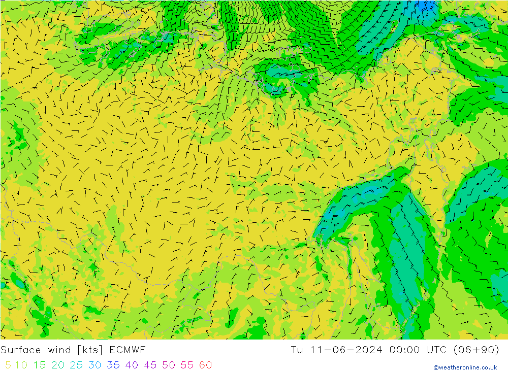 Surface wind ECMWF Tu 11.06.2024 00 UTC