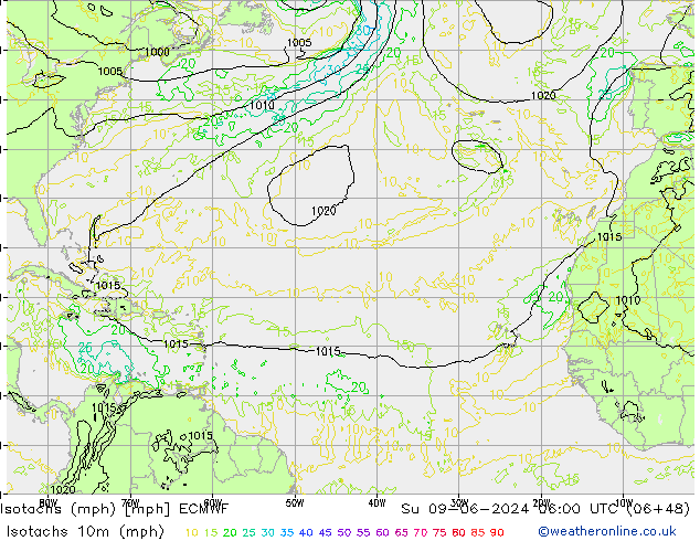 Isotaca (mph) ECMWF dom 09.06.2024 06 UTC