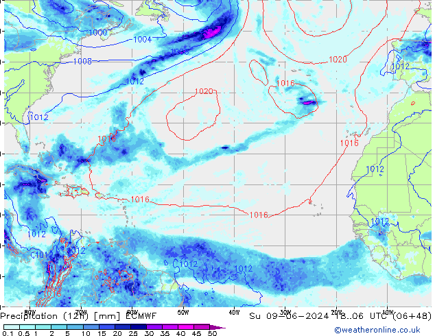 Totale neerslag (12h) ECMWF zo 09.06.2024 06 UTC