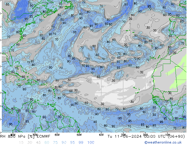 RH 850 hPa ECMWF Ter 11.06.2024 00 UTC