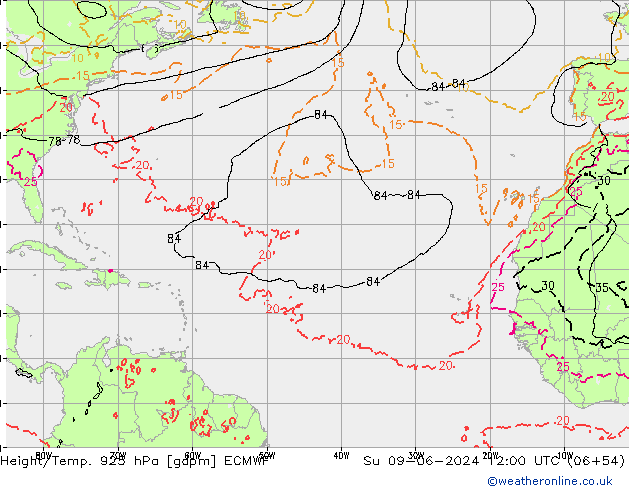 Height/Temp. 925 hPa ECMWF dom 09.06.2024 12 UTC